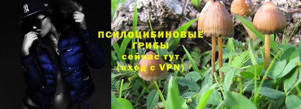 прущая мука Балахна