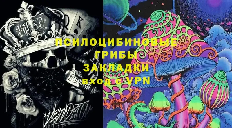 Галлюциногенные грибы Cubensis  hydra зеркало  Волгореченск  сколько стоит 