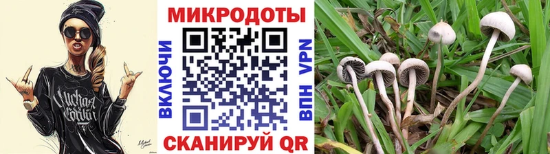 сколько стоит  гидра ссылки  Галлюциногенные грибы GOLDEN TEACHER  Волгореченск 