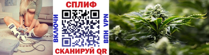 Бошки Шишки сатива  купить наркотик  даркнет как зайти  Волгореченск 